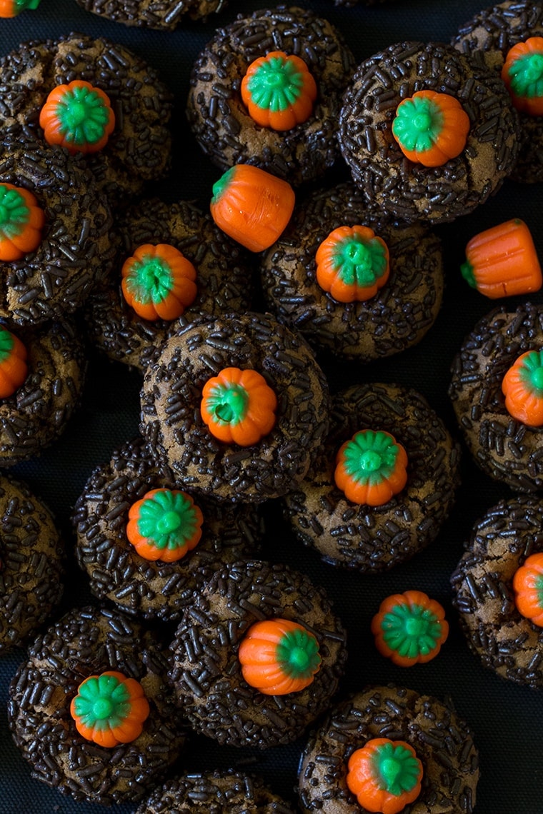 Chocolate Peanut Butter Pumpkin Blossoms are the perfect Halloween cookie. Classic peanut butter blossom cookies with a chocolate twist and a mallowcream pumpkin on top. #peanutbutter #cookie #halloween #halloweencookie #peanutbutterblossom #Pumpkincookie 