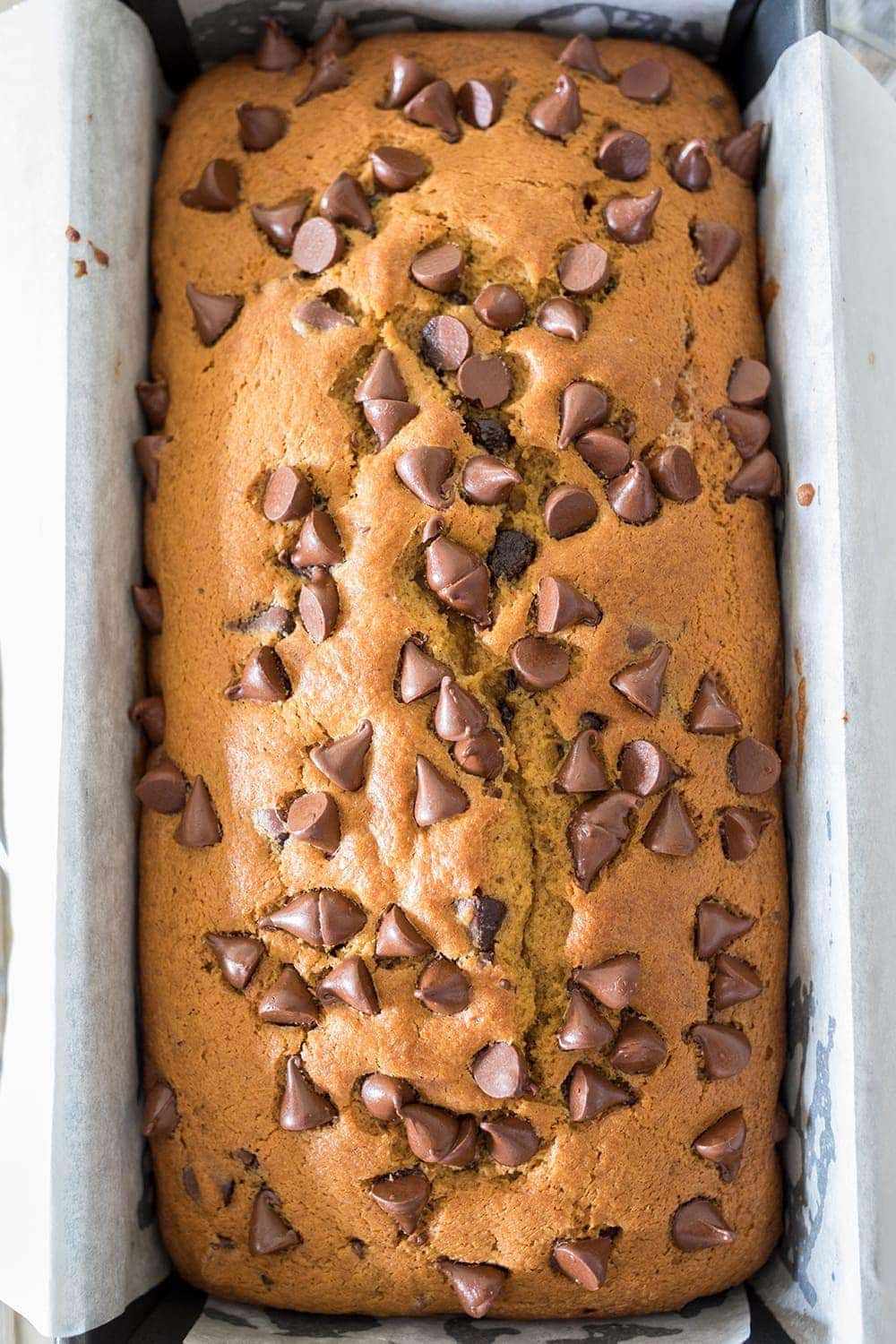 The Best Chocolate Chip Pumpkin Bread Recipe