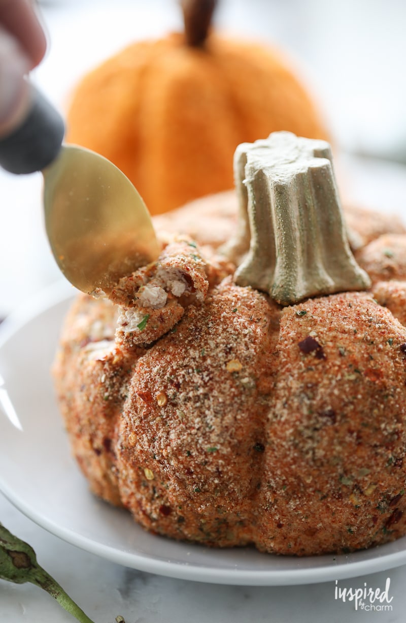 20 Pinterest Worthy Thanksgiving Appetizers 