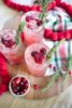 Sparkling Cranberry Gin Holiday Cocktails