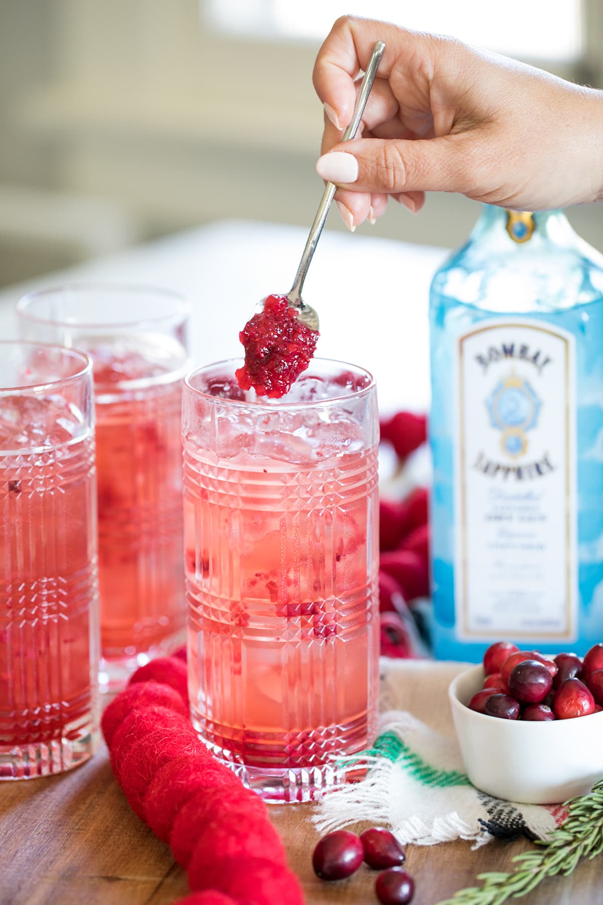 Sparkling Cranberry Gin Holiday Cocktails