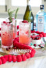 Cranberry Gin Fizz Cocktail