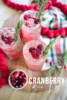 Cranberry Gin Fizz Cocktail