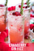 Cranberry Gin Fizz Cocktail