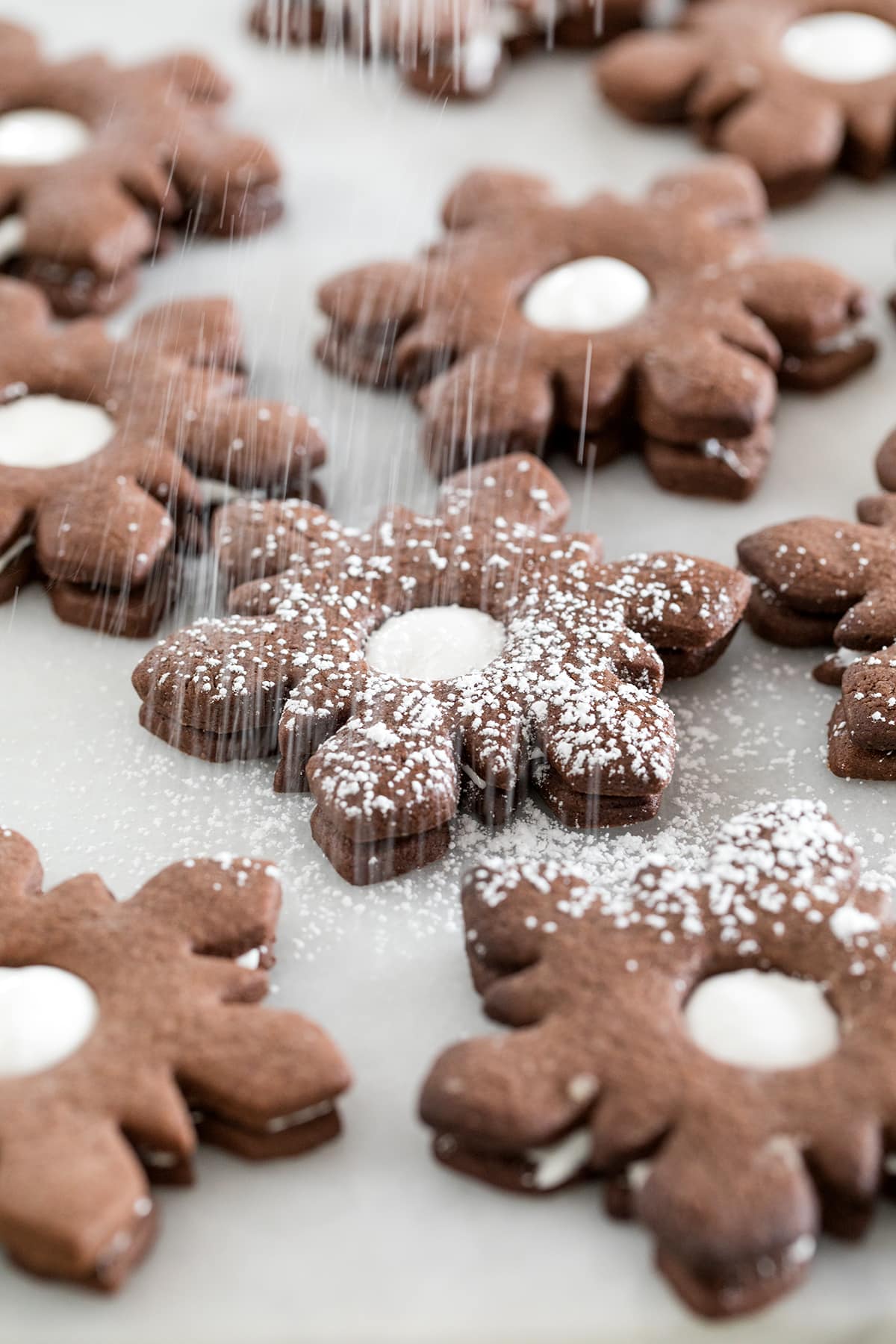 Hot Chocolate Marshmallow Linzer Cookies