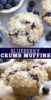 Blueberry Crumb Muffin Recipe