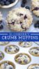 Blueberry Crumb Muffin Recipe