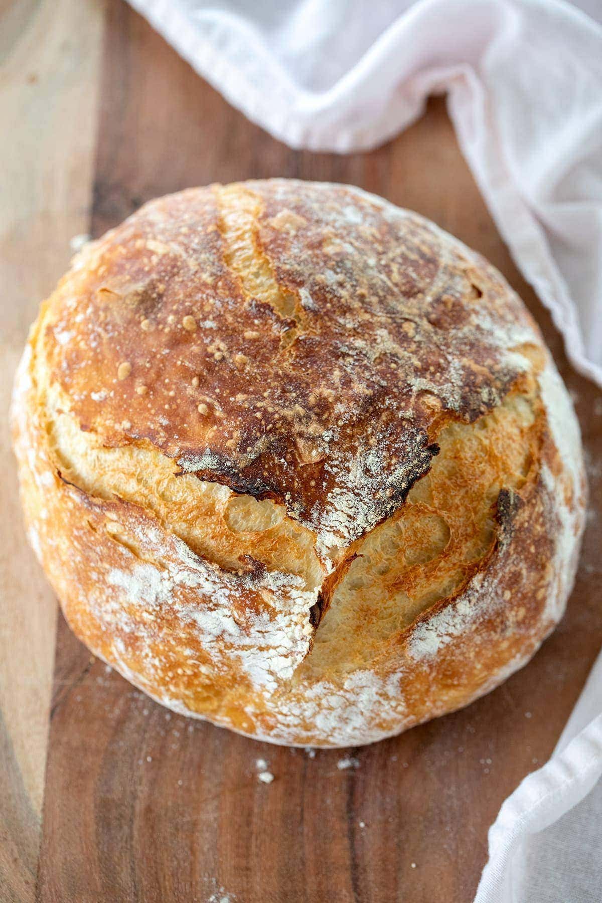 No Knead Bread Recipe with just 4 Ingredients!