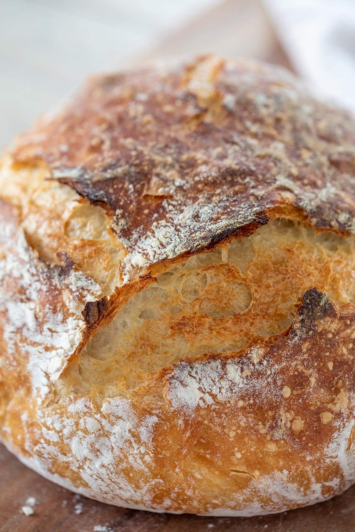 No Knead Bread Recipe with just 4 Ingredients!