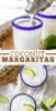 Creamy Coconut Margarita Recipe