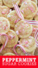 Peppermint Sugar Cookies