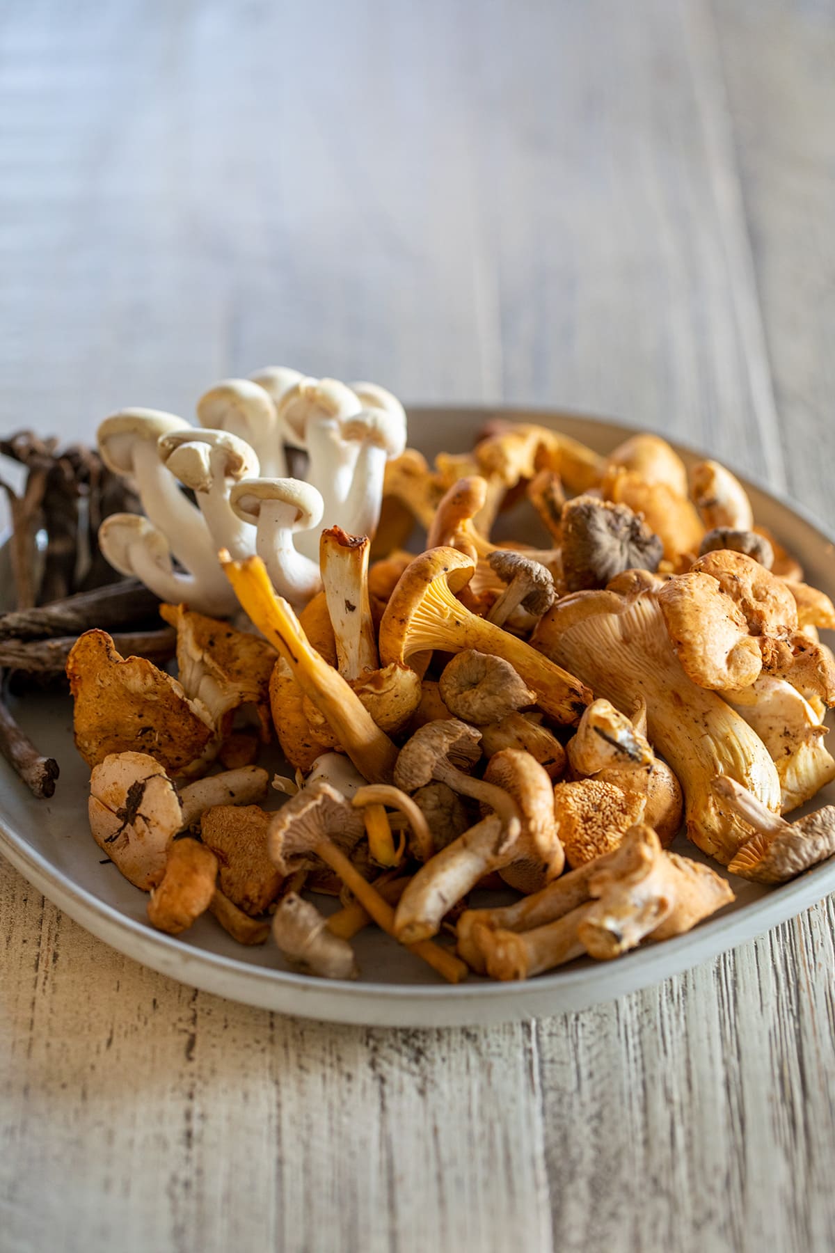 Wild Mushroom and Crab Pappardelle Pasta Pa