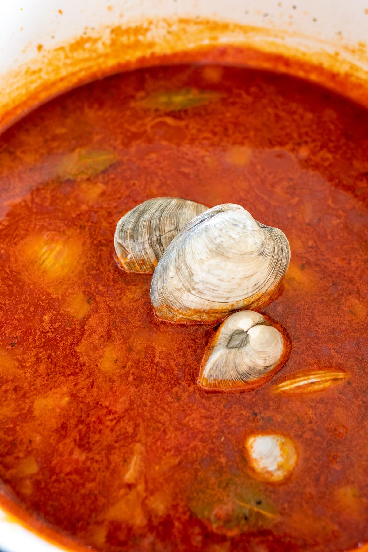 Italian Cioppino Seafood Stew Recipe