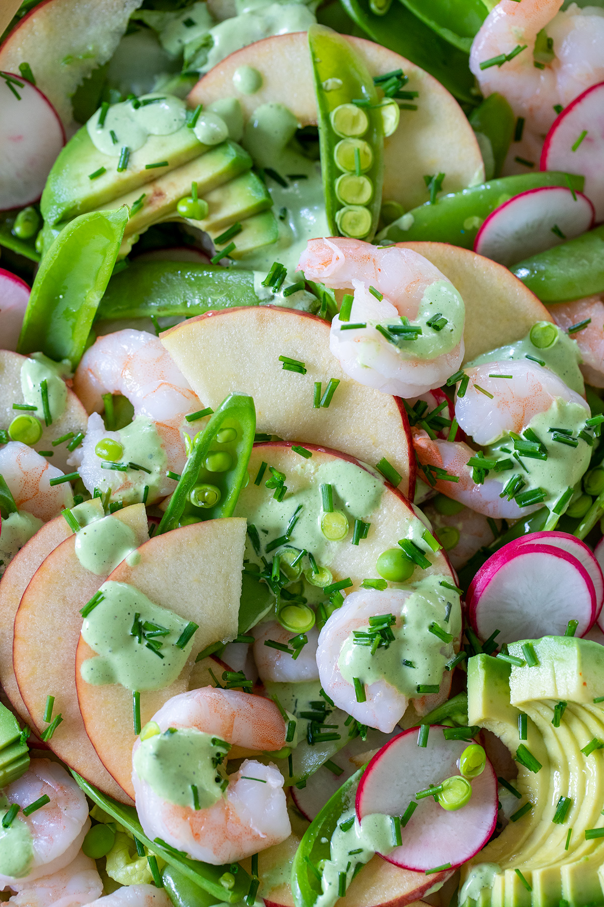 Shrimp Salad