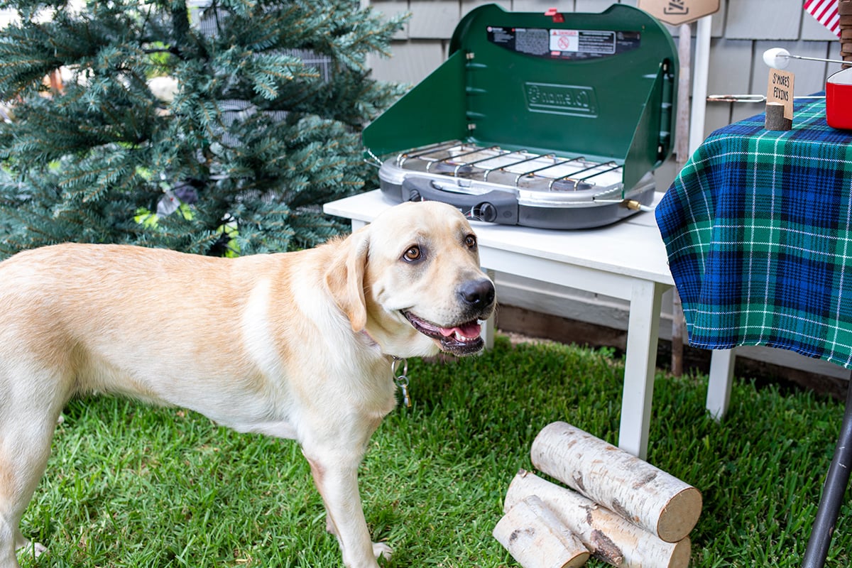 Camping Themed Birthday Party