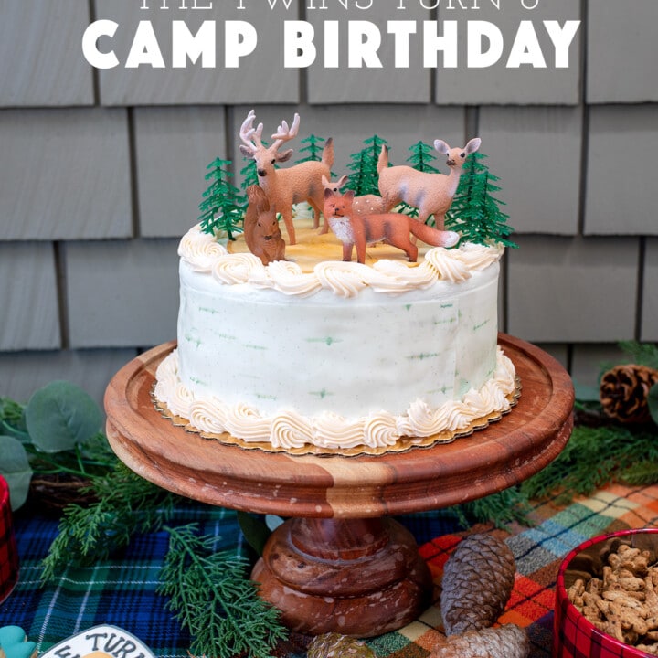 The twins turn 6 Camp Birthday Party