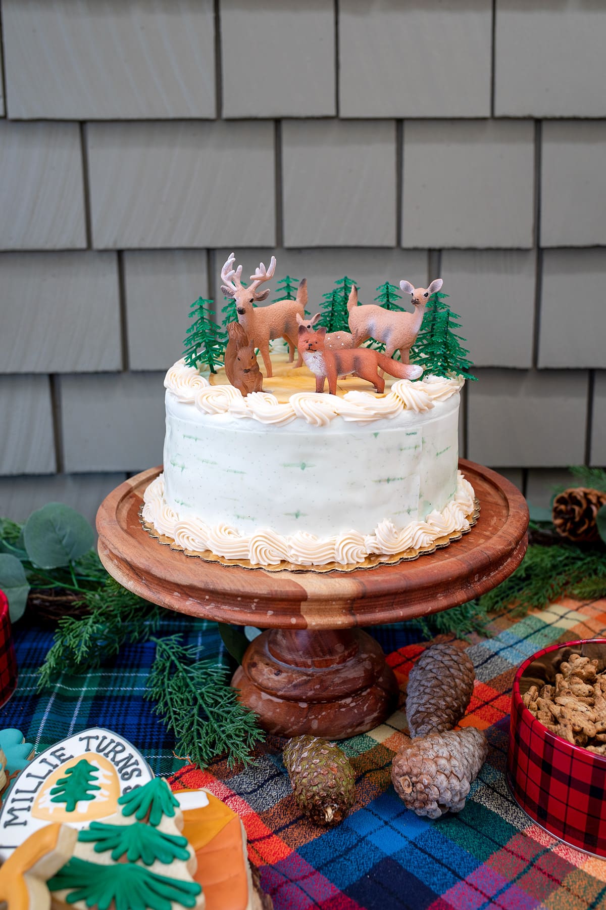 Camping Birthday Party • Freutcake