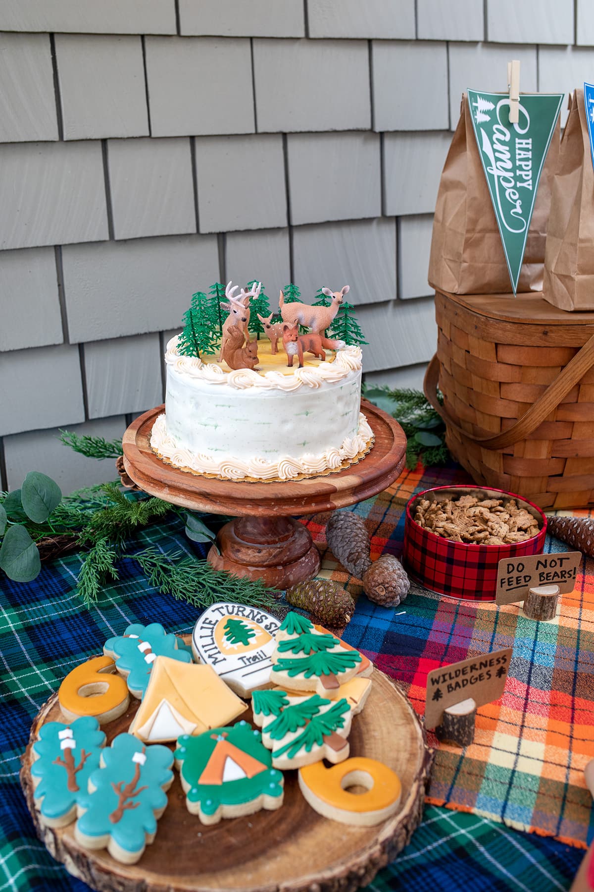 Camping Themed Birthday Party