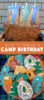 Camping Themed Birthday Party