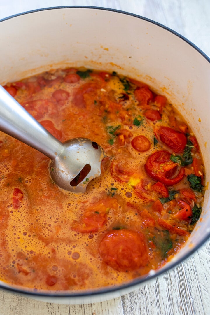 Immersion Blender Roasted Tomato Soup — Y Delicacies