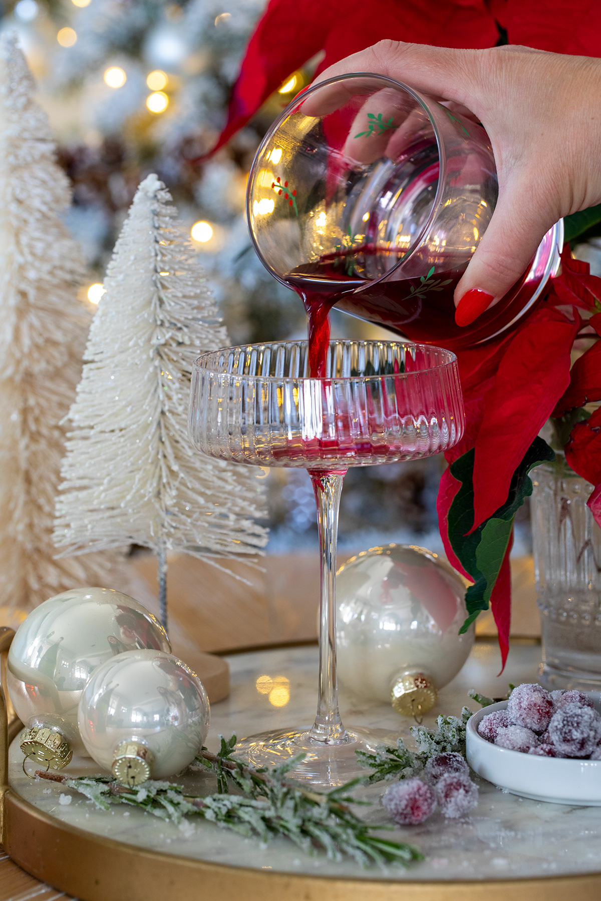 Cranberry Campari Spritz