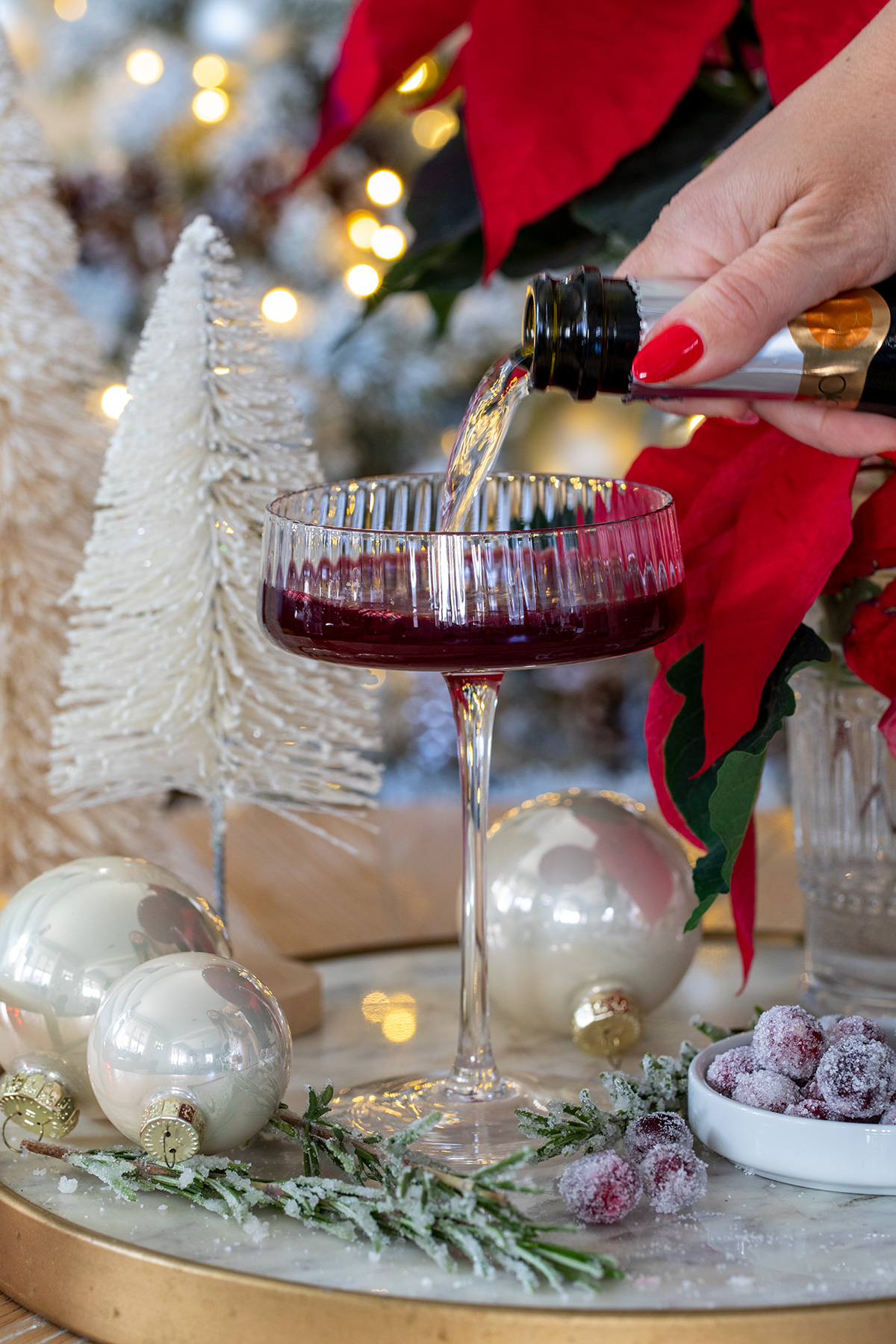 Cranberry Campari Spritz