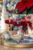 Cranberry Campari Spritz