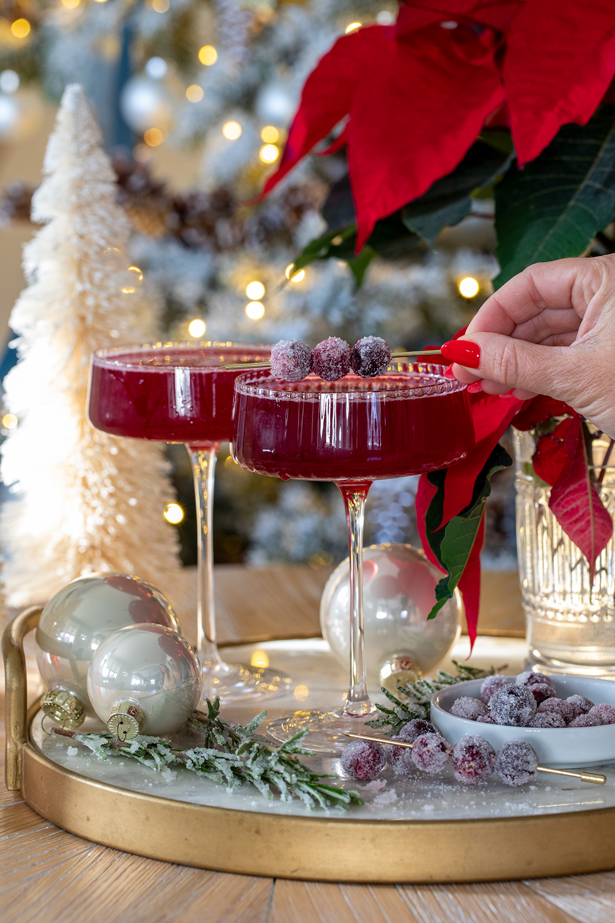 Cranberry Campari Spritz