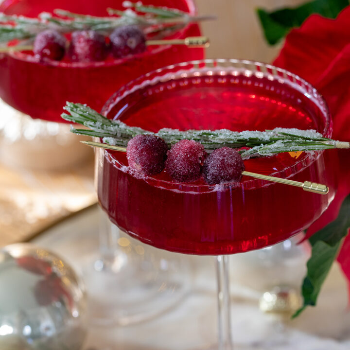 Cranberry Campari Spritz