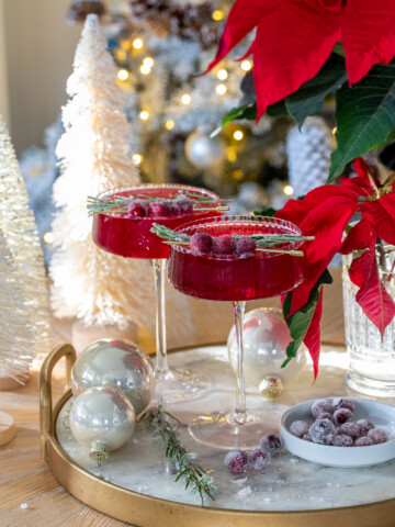 Cranberry Campari Spritz