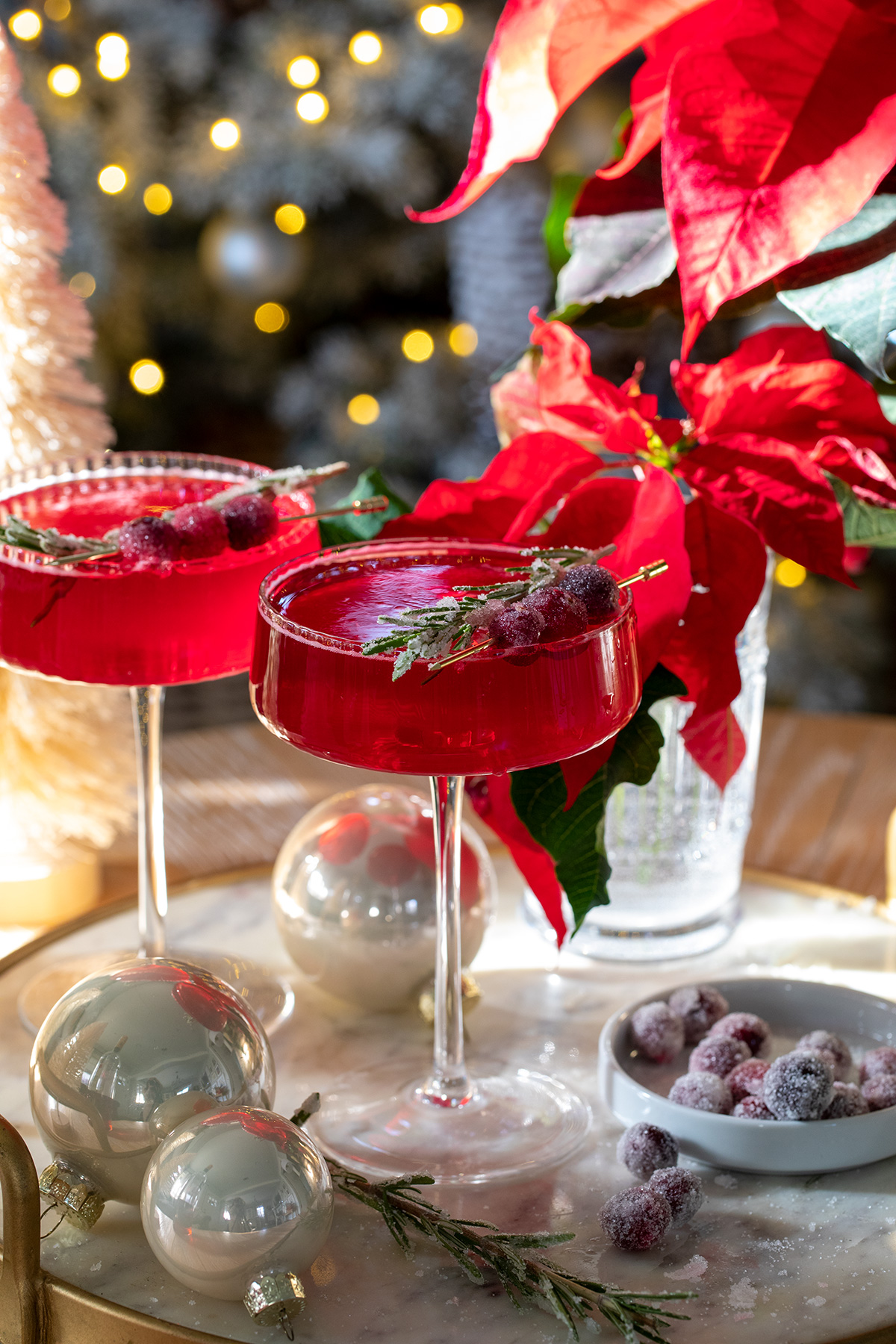 Cranberry Campari Spritz