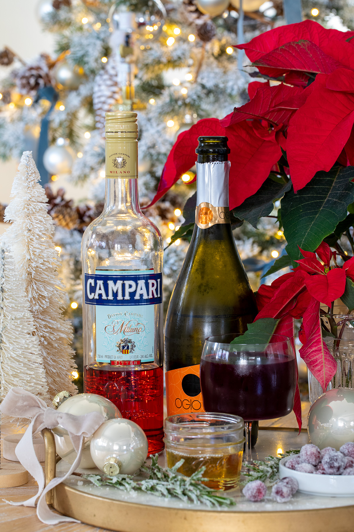 Cranberry Campari Spritz