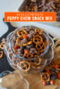 Halloween Muddy Buddies Recipe